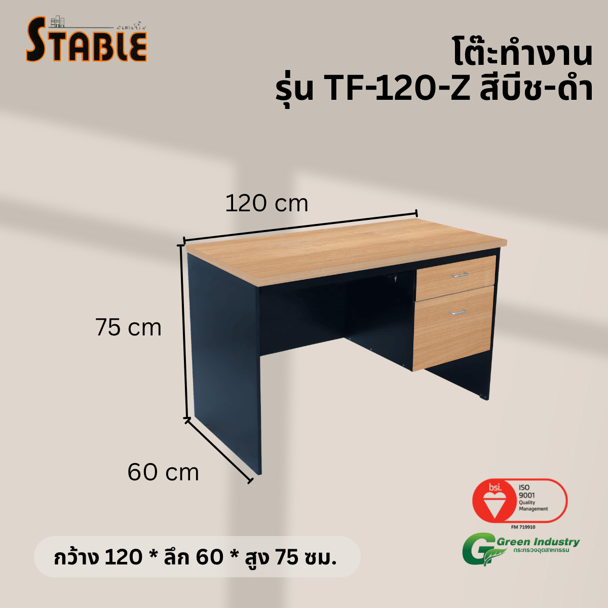 โต๊ะทำงานไม้ STABLE รุ่น TF-120-Z 120 ซม. สีบีช-ดำ